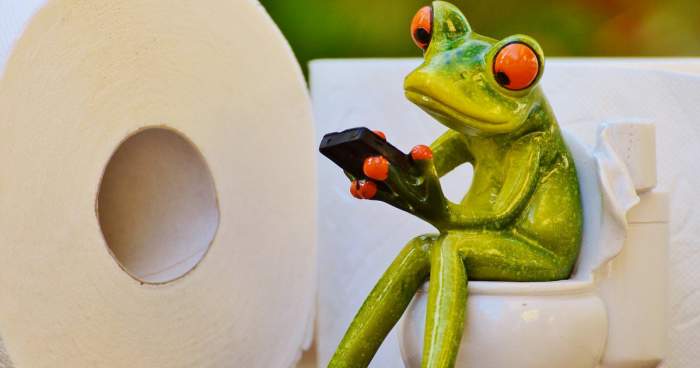 Experts outline how travelers can prevent common gut issues